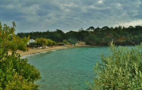 Studio Aliki